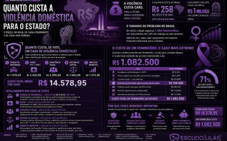 O preço, em reais, de cada atendimento e de cada vida perdida